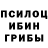 Псилоцибиновые грибы прущие грибы Zafar Egamqulov