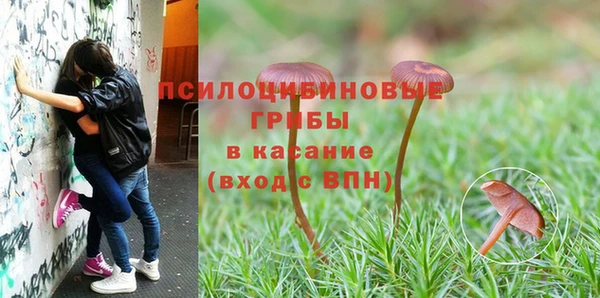 мдпв Горнозаводск