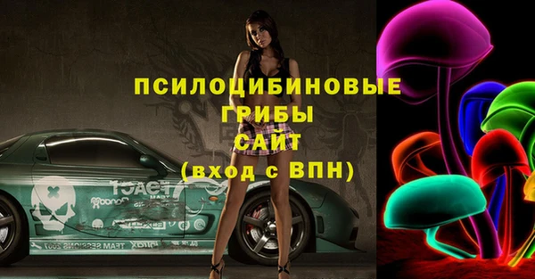 мдпв Горнозаводск