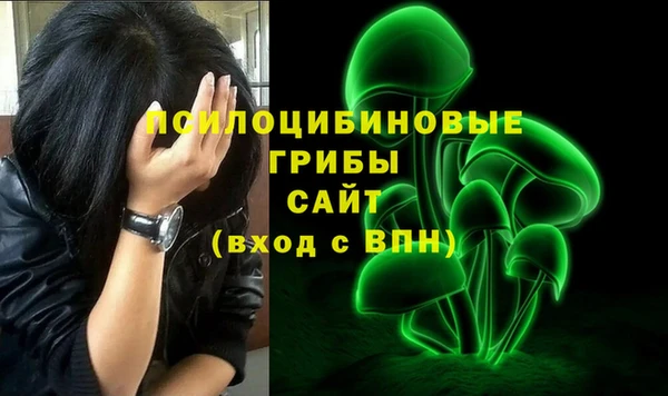 2c-b Вяземский