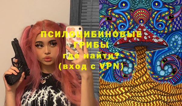 мдпв Горнозаводск